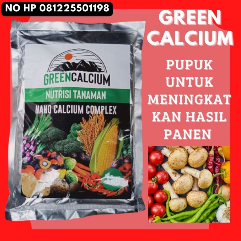 TERBAIK, 0812-2882-4834, Jual Pupuk Generatif Jagung Manado, Agen Pupuk Jagung Manis Musim Hujan Bolaang Mongondow, Distributor Pupuk Jagung Masa Generatif Minahasa