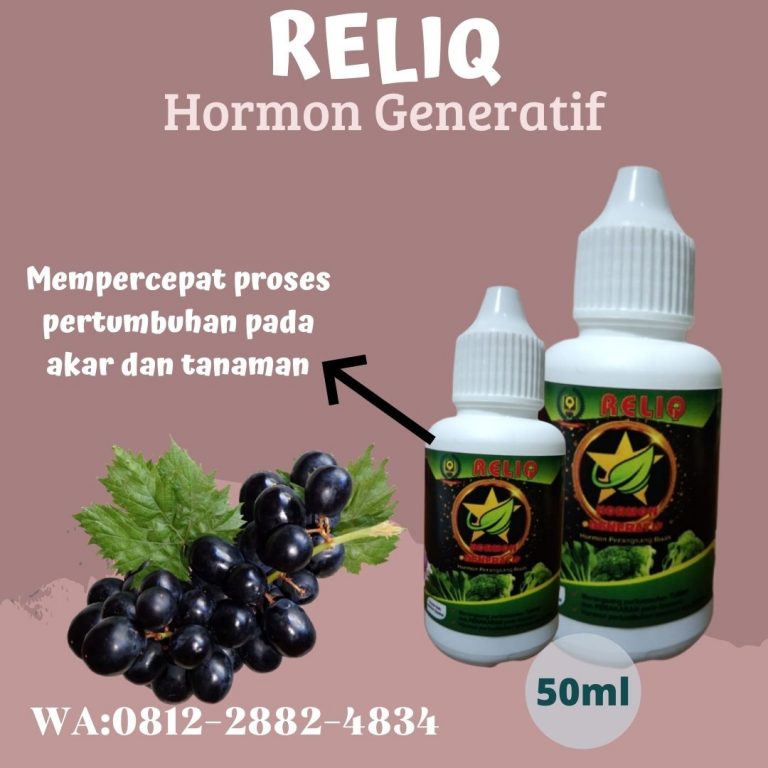 Promo, 0812-2882-4834, Agen Hormon Giberlin Perangsang Buah Anggur Bantul, Harga Pupuk Hormon Pembesar Buah Anggur Gunungkidul, Distributor Hormon Generatif Pembesar Buah Anggur Kulon Progo