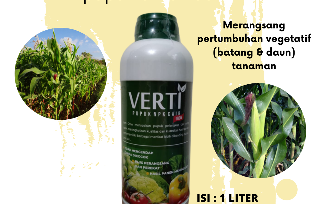 SPESIAL, 0812-2882-4834, Murah Pupuk Npk Untuk Padi  Makassar, Diskon Pupuk Npk Untuk Porang Kepulauan Selayar, Tempat Pupuk Npk Untuk Pertumbuhan Bulukumba