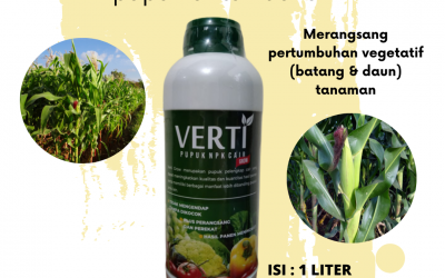 SPESIAL, 0812-2882-4834, Murah Pupuk Npk Untuk Padi Makassar, Diskon Pupuk Npk Untuk Porang Kepulauan Selayar, Tempat Pupuk Npk Untuk Pertumbuhan Bulukumba