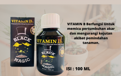 Spesial, 0812-2882-4834, Murah Pupuk Tanaman Hias Bunga Bantul, Diskon Pupuk Tanaman Hias Daun Gunungkidul Kulon Progo, Tempat Pupuk Tanaman Hias Aglaonema Wates