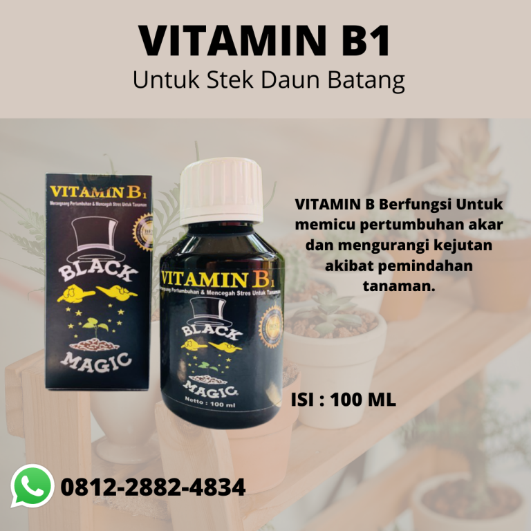 Spesial, 0812-2882-4834, Murah Pupuk Tanaman Hias Bunga Bantul, Diskon Pupuk Tanaman Hias Daun Gunungkidul Kulon Progo, Tempat Pupuk Tanaman Hias Aglaonema Wates