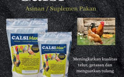 TERBAIK, 0812-2882-4834, Pabrik Calsimax Suplemen Untuk Ayam Pejantan Asahan, Grosir Calsimax Suplemen Untuk Ayam Pedaging Kisaran, Toko Calsimax+ Suplemen Untuk Ayam Pacek Labuhanbatu