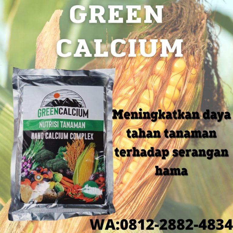TERPERCAYA, 0812-2882-4834, Produsen Pupuk Jagung Biar Buahnya Besar Lampung Selatan, Grosir Pupuk Jagung Hibrida Kalianda, Pabrik Pupuk Jagung Ke 2 Lampung Tengah