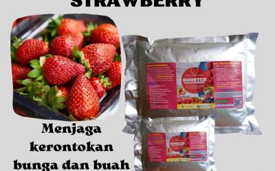TERBAIK, 0812-2882-4834, Produsen Pupuk Khusus Strawberry Lamongan, Pabrik Pupuk Organik Strawberry Lumajang, Grosir Pupuk Pohon Strawberry Madiun