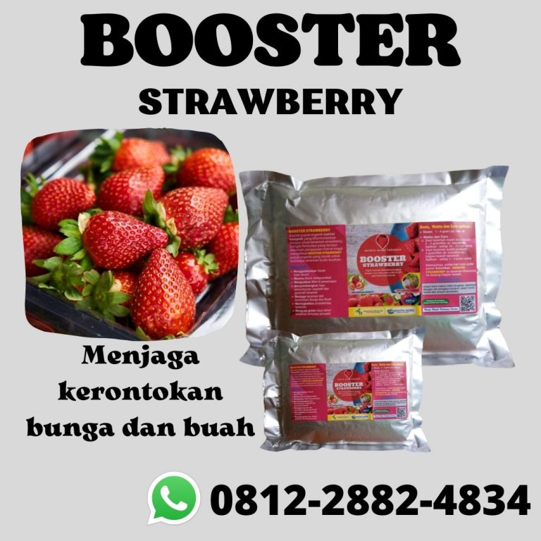 TERBAIK, 0812-2882-4834, Produsen Pupuk Khusus Strawberry Lamongan, Pabrik Pupuk Organik Strawberry Lumajang, Grosir Pupuk Pohon Strawberry Madiun