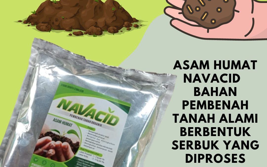 Spesial, 0812-2882-4834, Produsen Pupuk Untuk Sawit Baru Ditanam Jakarta Kota, Grosir Pupuk Untuk Kelapa Sawit Jakarta Pusat, Diskon Pupuk Untuk Sawit Lahan Gambut Kepulauan Seribu