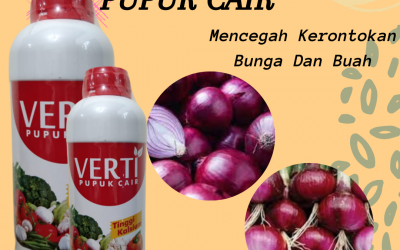Promo, 0812-2882-4834, Agen Pupuk Bawang Perai Surabaya, Distributor Pupuk Bawang Pre Bangkalan, Harga Pupuk Pertama Bawang Merah Banyuwangi