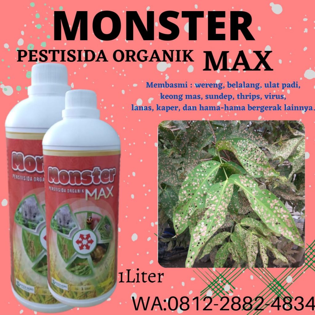 Promo, 0812-2882-4834, Beli Obat Pembasmi Hama Buah Jambu Air Palangkaraya, Promo Obat Hama Lalat Buah Jambu Kotawaringin Barat, Jual Obat Hama Daun Jambu Pangkalan Bun