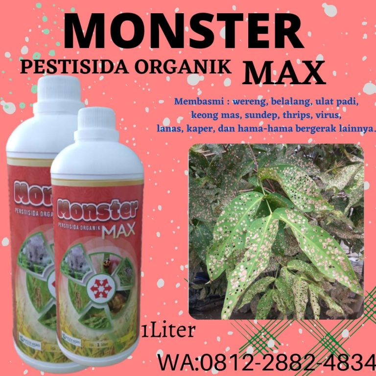 Promo, 0812-2882-4834, Beli Obat Pembasmi Hama Buah Jambu Air Palangkaraya, Promo Obat Hama Lalat Buah Jambu Kotawaringin Barat, Jual Obat Hama Daun Jambu Pangkalan Bun
