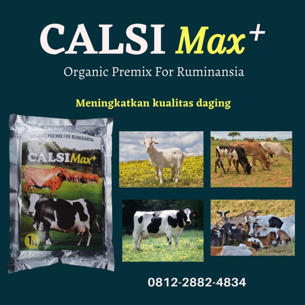 Pusat Pakan Sapi Potong Medan, Asli Pakan Sapi Simental Tapanuli Tengah, Supplier Pakan Sapi Australia Pandan, Jual Pakan Sapi Alami Tapanuli Utara