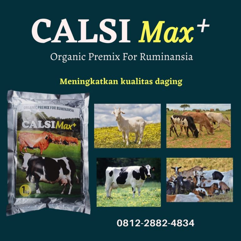 MURAH, 0812-2882-4834, Pusat Pakan Sapi Potong  Medan, Asli Pakan Sapi Simental Tapanuli Tengah, Supplier Pakan Sapi Australia Pandan