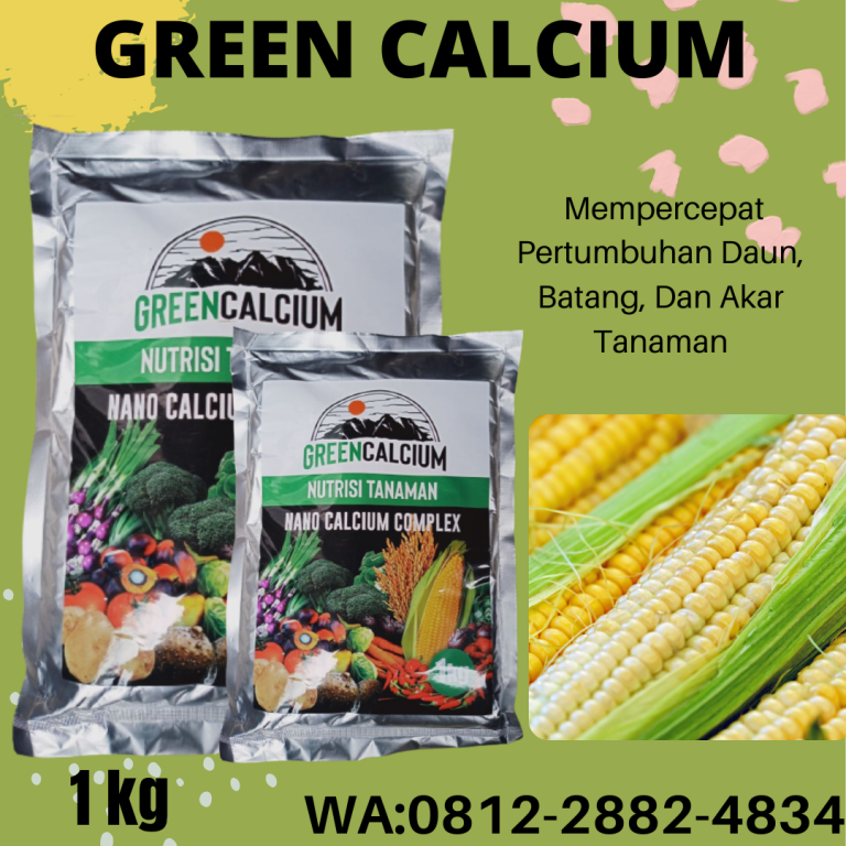 TERBARU, 0812-2882-4834, Distributor Pupuk Jagung Biar Buah Besar Lampung Selatan, Harga Pupuk Untuk Memperbesar Buah Jagung Kalianda, Produsen Pupuk Buah Untuk Jagung Lampung Tengah