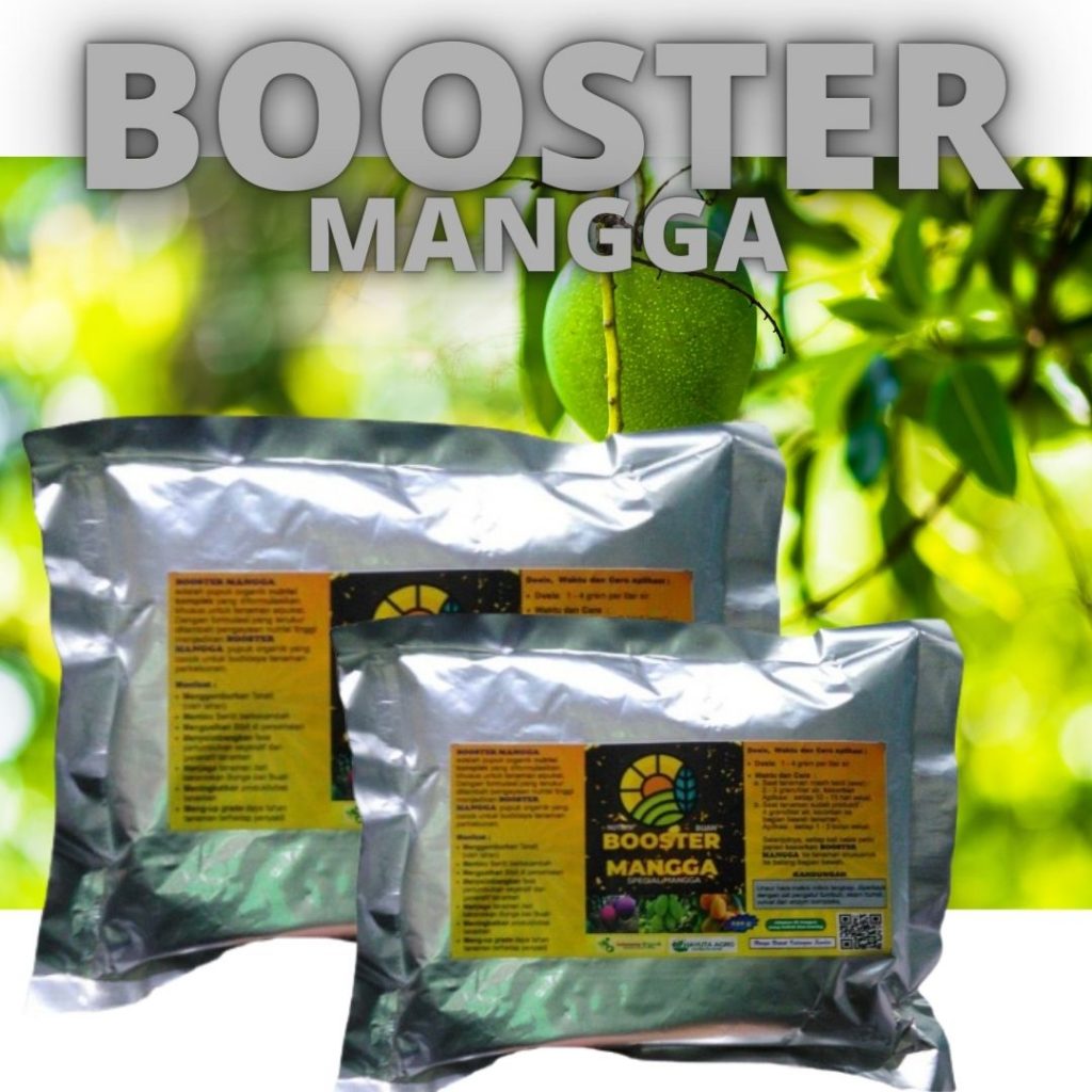 Distributor Pupuk Buah Mangga Agar Tidak Rontok, Agen Pupuk Buah Mangga Dalam Pot, Murah Pupuk Perangsang Buah Mangga, Beli Pupuk Pelebat Buah Mangga, Sedia Pupuk Pembesar Buah Mangga, Jual Pupuk Agar Buah Mangga Manis, Diskon Pupuk Booster Buah Mangga, Distributor Pupuk Penguat Bunga Dan Buah Mangga, Agen Pupuk Perangsang Bunga Dan Buah Mangga, Murah Pupuk Bunga Dan Buah Mangga