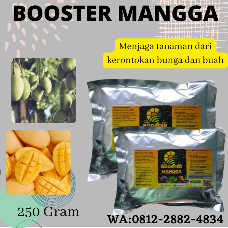 Terbaik, 0812-2882-4834, Diskon Pupuk Untuk Mangga Cepat Berbuah  Padang, Distributor Pupuk Untuk Mangga Baru Tanam Painan, Agen Pupuk Untuk Mangga Dalam Pot Sijunjung