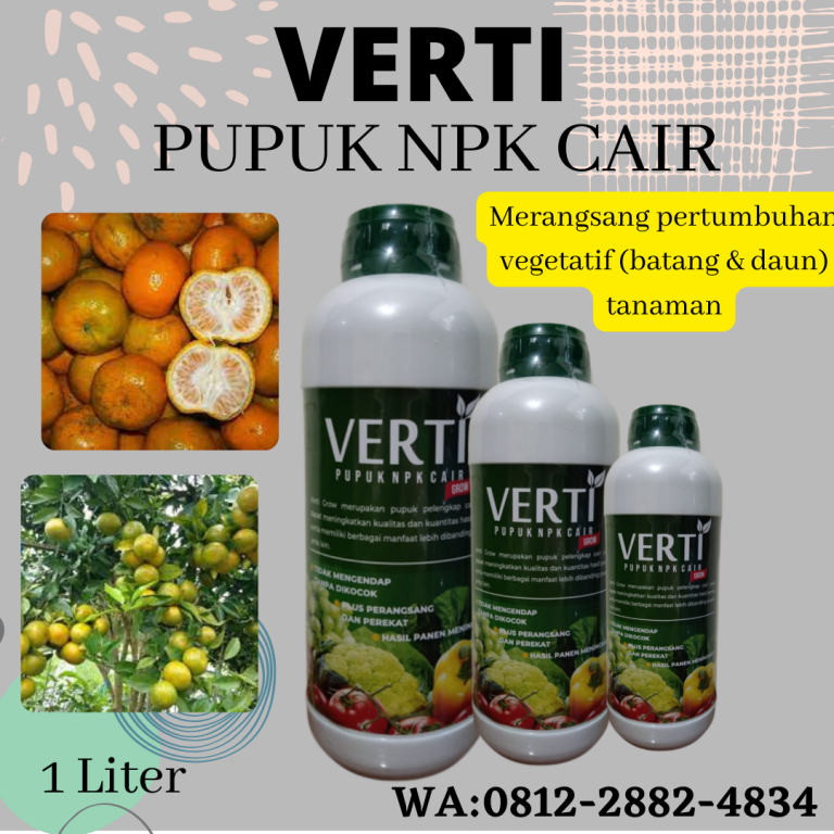 Terbaik, 0812-2882-4834, Jual Pupuk Agar Buah Jeruk Manis  Medan, Diskon Pupuk Agar Buah Jeruk Besar Tapanuli Tengah, Distributor Pupuk Buah Untuk Jeruk Nipis Pandan