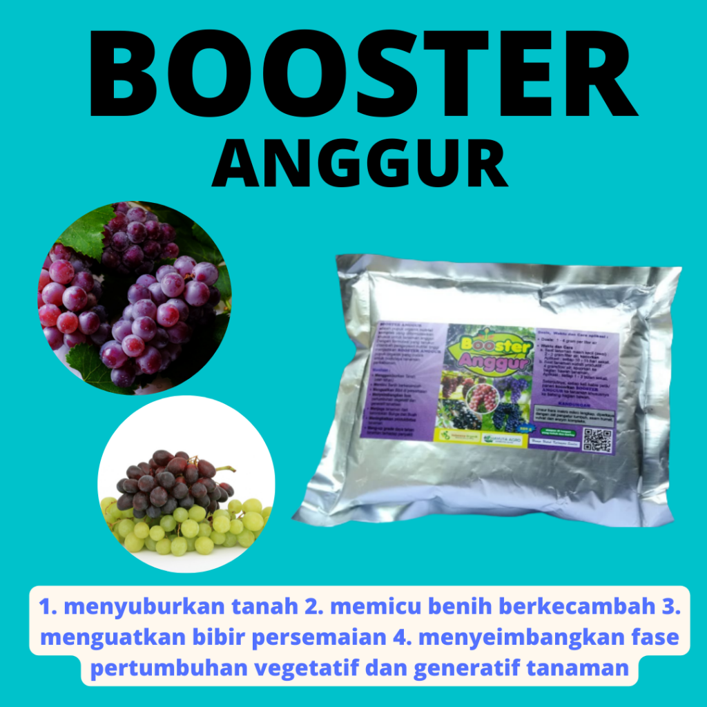 Toko Pupuk Anggur Brazil Bantul, Pabrik Pupuk Anggur Biar Manis Gunungkidul, Jual Pupuk Anggur Biar Subur Kulon Progo, Grosir Pupuk Anggur Baru Tanam Wates, Diskon Pupuk Anggur Booster Sleman, Tempat Pupuk Untuk Anggur Cepat Berbuah, Asli Pupuk Buah Anggur Agar Cepat Berbuah, Beli Pupuk Anggur Di Musim Hujan, Promo Pupuk Daun Anggur, Murah Pupuk Untuk Anggur Dalam Pot
