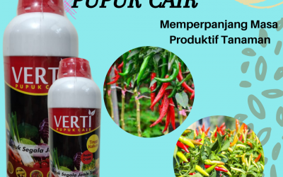 Termurah, 0812-2882-4834, Distributor Pupuk Dasar Cabe Merah Keriting Banda Aceh, Produsen Pupuk Cabe Fase Generatif Aceh Barat, Diskon Pupuk Cabe Fase Vegetatif Meulaboh