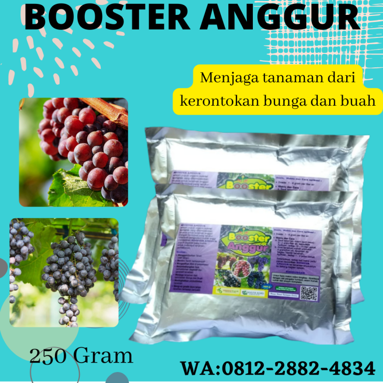 Termurah, 0812-2882-4834, Sedia Pupuk Anggur Booster Semarang, Jual Pupuk Khusus Anggur Brebes, Diskon Pupuk Organik Untuk Anggur Cilacap