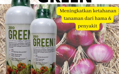 Terpercaya, 0812-2882-4834, Agen Pupuk Untuk Umbi Bawang Merah Padang, Murah Pupuk Cair Bawang Merah Painan, Beli Pupuk Cair Untuk Bawang Daun Sijunjung