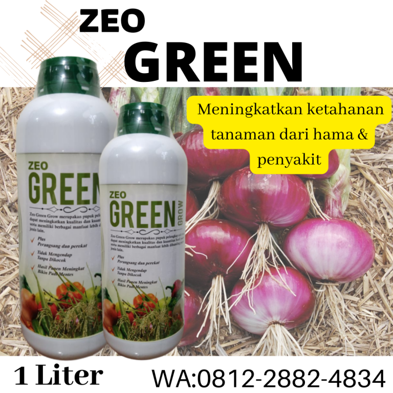 Terpercaya, 0812-2882-4834, Agen Pupuk Untuk Umbi Bawang Merah  Padang, Murah Pupuk Cair Bawang Merah Painan, Beli Pupuk Cair Untuk Bawang Daun Sijunjung