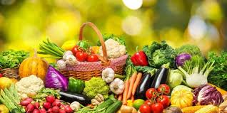 Promo, 0812-2882-4384, Agen Pupuk Hayati Floraone Kapuas, Distributor Fungisida Untuk Busuk Batang Jagung Kuala Kapuas, Harga Fungisida Untuk Bulai Jagung Barito Selatan