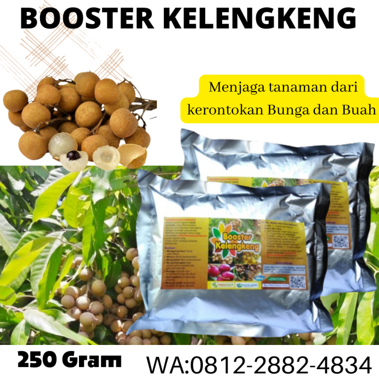 Tersedia, 0812-2882-4834, Distributor Pupuk Tanaman Buah Kelengkeng Surabaya, Agen Pupuk Perangsang Bunga Dan Buah Kelengkeng Bangkalan, Murah Pupuk Organik Buah Kelengkeng Banyuwangi