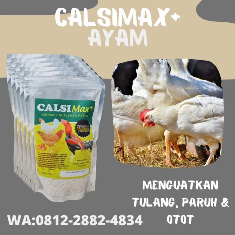 PROMO, 0812-2882-4834, Toko Calsi MAX Suplemen Tinggi Kalsium Untuk ayam bangkok Tilamuta, Pusat CalsiMAX Suplemen Pakan ayam cepat besar Bone Bolango, Asli CalsiMAX+ Suplemen Pakan ayam cepat bertelur Suwawa