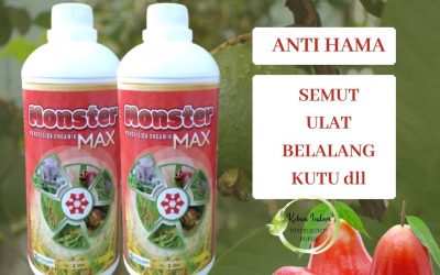 Penawaran, 0812-2882-4834, Toko Pestisida Organik Untuk Kutu Putih Semarang, Asli Pembasmi Hama Tanaman Brebes, Beli Pembasmi Hama Tanaman Alami Cilacap