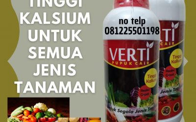 Amanah, 0812-2882-4834, Toko Pupuk Cabe Masa Pembuahan Lampung Selatan, Agen Pupuk Cabe Masa Pertumbuhan Kalianda, Distributor Pupuk Cabe Masa Pembungaan Lampung Tengah
