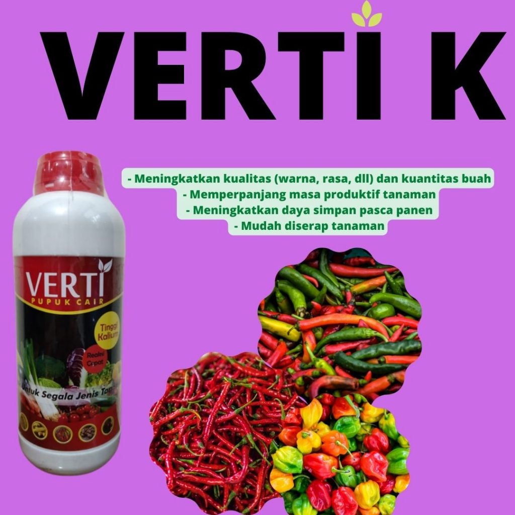 Grosir Pupuk Cabe Baru Ditanam Padang, Murah Pupuk Cabe Biar Lebat Painan, Toko Pupuk Cabe Buah Ke 2 Sijunjung, Agen Pupuk Cabe Berbunga, Distributor Pupuk Cabe Cepat Berbuah Tanah Datar, Produsen Pupuk Cabe Cepat Buah Padang Pariaman, Diskon Pupuk Cabe Cair Parit Malintang, Jual Pupuk Cair Cabe Rawit Agam, Harga Pupuk Cabe Di Musim Hujan Lubuk Basung, Pabrik Pupuk Cabe Dan Tomat Lima Puluh Kota