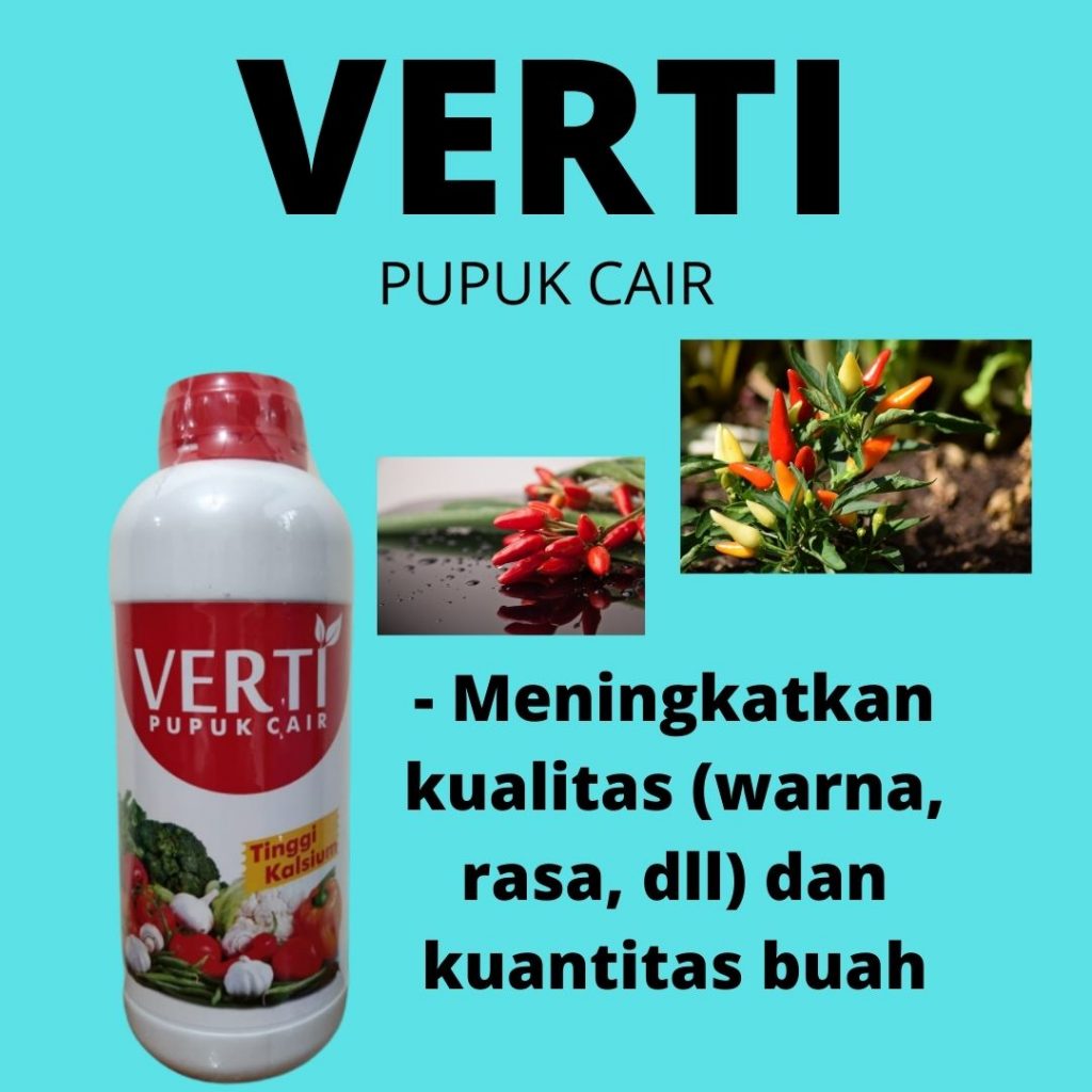  Produsen Pupuk Untuk Cabe Di Musim Hujan, Gosir Pupuk Untuk Cabe Berbuah Lebat, Pabrik Pupuk Untuk Cabe Kerdil, Murah Pupuk Cabe Agar Tidak Rontok, Diskon Pupuk Untuk Cabe Berbunga, Tempat Pupuk Untuk Cabe Keriting, Jual Pupuk Cabe Fase Generatif, Agen Pupuk Cabe Fase Vegetatif, Distributor Pupuk Untuk Cabe Hijau, Harga Pupuk Untuk Cabe Hidroponik