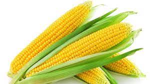 Diskon Pupuk Untuk Jagung Biar Buahnya Besar Lampung Selatan, Tempat Pupuk Untuk Jagung Ayam Kalianda, Jual Pupuk Jagung Agar Berbuah Besar Lampung Tengah, Agen Pupuk Jagung Agar Tongkol Besar Gunung Sugih, Distributor Pupuk Buah Jagung Manis Kotabumi, Harga Pupuk Pemberat Buah Jagung, Produsen Pupuk Pembesar Buah Jagung Lampung Barat, Grosir Pupuk Perangsang Buah Jagung Liwa, Pabrik Pupuk Agar Buah Jagung Besar Tulang Bawang, Murah Pupuk Pembesar Buah Jagung Manis Tanggamus