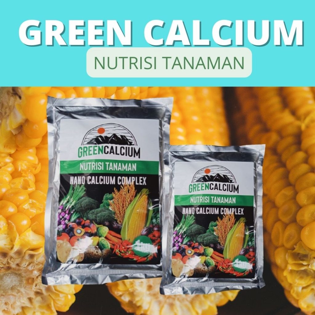 Diskon Pupuk Untuk Jagung Biar Buahnya Besar Lampung Selatan, Tempat Pupuk Untuk Jagung Ayam Kalianda, Jual Pupuk Jagung Agar Berbuah Besar Lampung Tengah, Agen Pupuk Jagung Agar Tongkol Besar Gunung Sugih, Distributor Pupuk Buah Jagung Manis Kotabumi, Harga Pupuk Pemberat Buah Jagung, Produsen Pupuk Pembesar Buah Jagung Lampung Barat, Grosir Pupuk Perangsang Buah Jagung Liwa, Pabrik Pupuk Agar Buah Jagung Besar Tulang Bawang, Murah Pupuk Pembesar Buah Jagung Manis Tanggamus