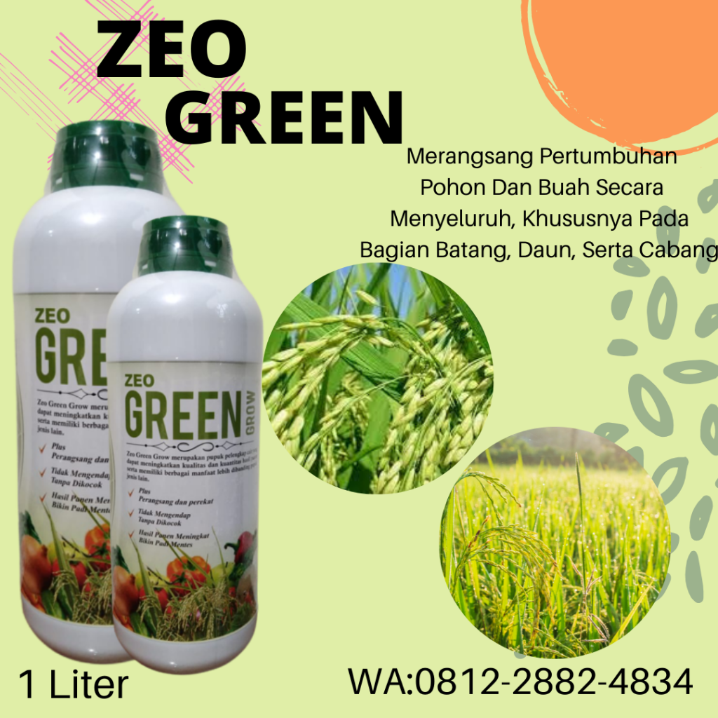 promo, 0812-2882-4834, Jual Pupuk Untuk Akar Padi Semarang, Agen Pupuk Padi Agar Hasil Melimpah Brebes, Distributor Pupuk Padi Agar Beranak Banyak Cilacap