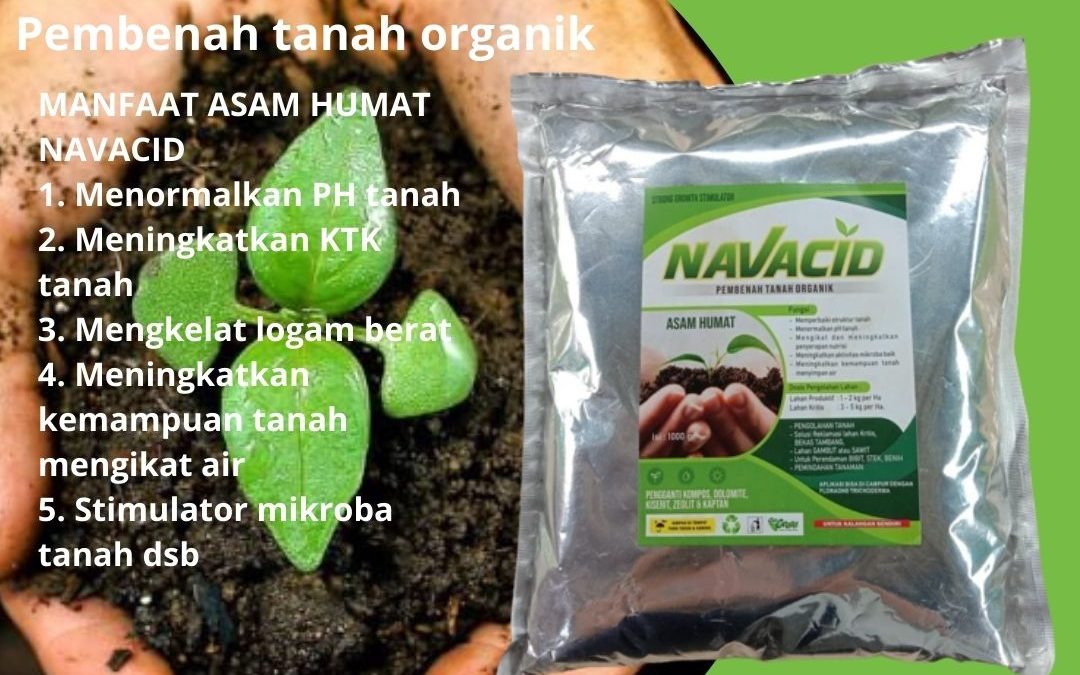 Agen Pupuk Penyubur Tanah Tandus Badung, Distributor Pupuk Untuk Tanah Tandus Mangupura, Harga Pupuk Untuk Tanah Rawa, Produsen Pupuk Untuk Tanah Asam Bangli, Grosir Pupuk Untuk Kesuburan Tanah Buleleng, Diskon Pupuk Untuk Memperbaiki Tanah Singaraja, Murah Pupuk Organik Untuk Tanah Jembrana, Tempat Pupuk Organik Untuk Tanah Gambut Negara Amlapura, Toko Pupuk Organik Terbaik Untuk Tanah Klungkung, Jual Pupuk Untuk Penggembur Tanah Semarapura