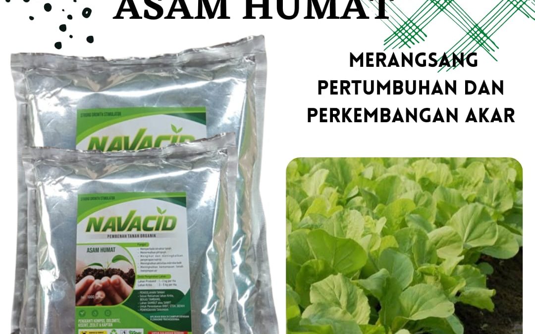 Aman, 0812-2882-4834, Tempat Pupuk Penggembur Tanah Liat Muara Teweh, Toko Pupuk Untuk Tanah Masam, Jual Pupuk Padi Tanah Masam Katingan