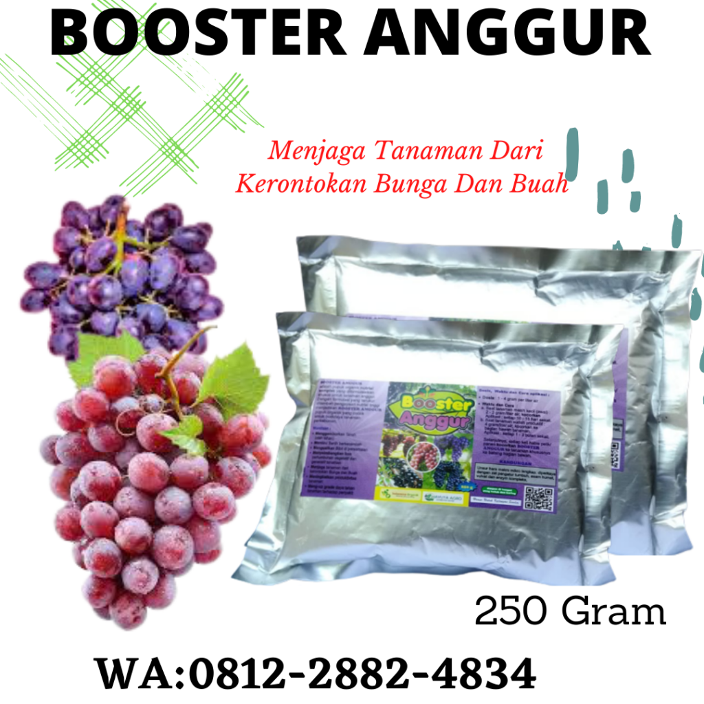 Amanah, 0812-2882-4834, Pabrik Pupuk Khusus Anggur Badung, Jual Pupuk Anggur Masa Pembuahan Mangupura, Grosir Pupuk Anggur Merah Bangli