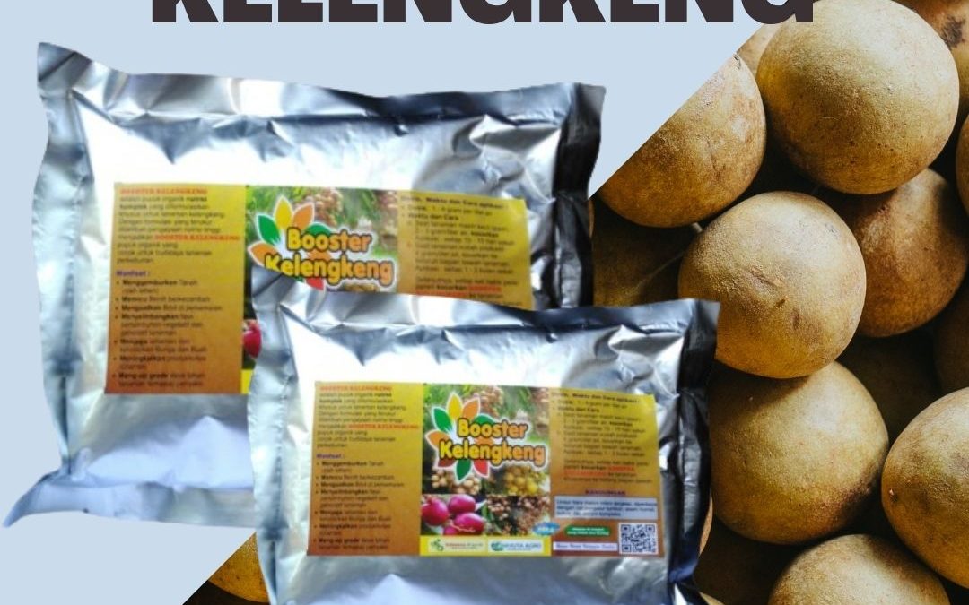 Terpercaya, 0812-2882-4834, Beli Pupuk Kelengkeng Agar Berbuah Lebat Surabaya, Sedia Pupuk Kelengkeng Supaya Cepat Berbuah Bangkalan, Jual Pupuk Kelengkeng Agar Cepat Besar Banyuwangi