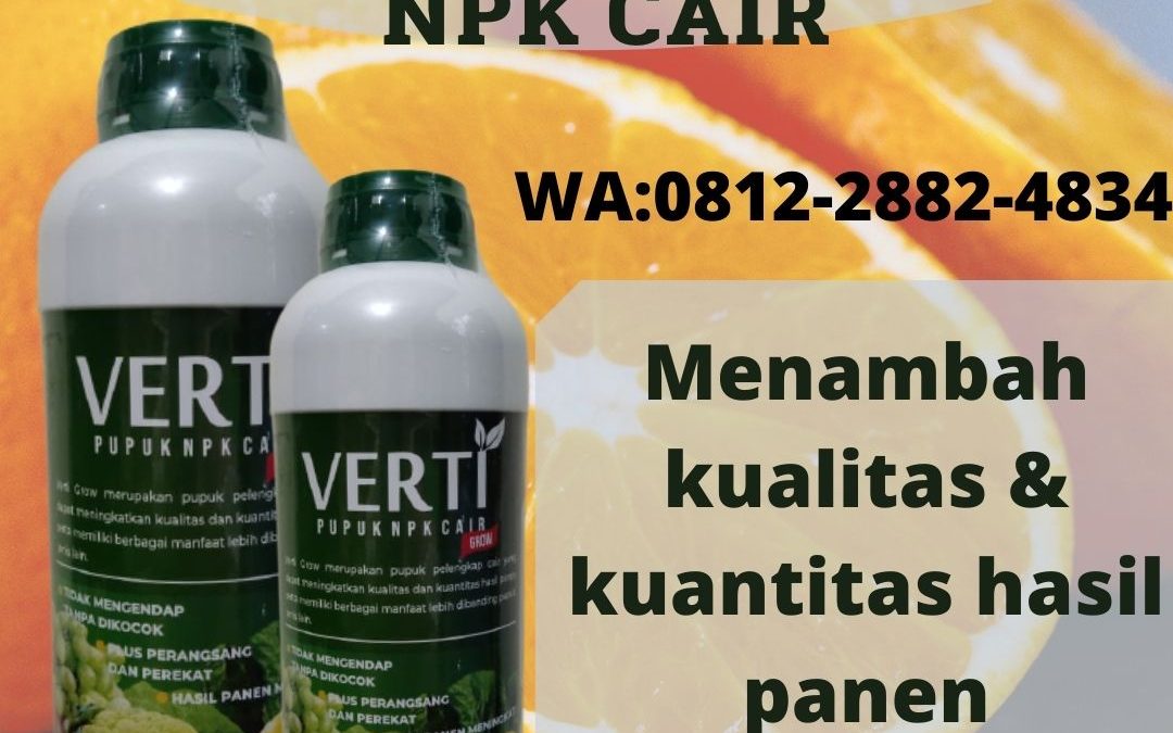 Distributor Pupuk Booster Jeruk Tapanuli Utara, Agen Booster Buah Jeruk Tarutung, Murah Pupuk Booster Buah Jeruk Tapanuli Selatan, Beli Pupuk Jeruk Santang Madu Sipirok, Sedia Pupuk Jeruk Nipis Nias, Jual Pupuk Jeruk Siam Gunungsitoli, Diskon Pupuk Jeruk Umur 1 Tahun Langkat, Distributor Pupuk Jeruk Agar Cepat Berbuah Stabat, Agen Pupuk Jeruk Supaya Manis Karo, Murah Pupuk Jeruk Baru Tanam Kabanjahe