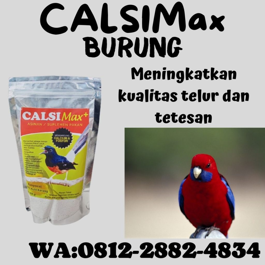 Grosir Calsi Max Suplemen Tinggi Kalsium Untuk Burung Sepah Pekan Baru, Toko Calsimax Suplemen Pakan Burung Ciblek Kampar, Pusat Calsimax+ Suplemen Burung Cendet Cepat Bertelur Bangkinang, Asli Calsimax Suplemen Kalsium Burung Cucak Ijo Biar Gacor Indragiri Hulu, Supplier Calsimax Suplemen Calcium Burung Cucak Rowo Rengat, Jual Calsi Max Suplemen Pakan Burung Dara Alami Kasmari, Jual Calsi Max+ Suplemen Pakan Burung Dara Bengkalis, Agen Calsimax Suplemen Pakan Burung Derkuku Indragiri Hilir, Distributor Calsimax+ Suplemen Pakan Burung Dara Kolongan Tembilahan, Harga Calsimax Suplemen Kalsium Burung Gurah Pelalawan