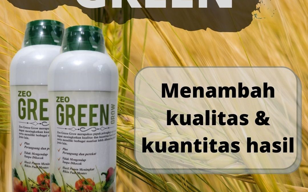 Harga Pupuk Padi Umur 60 Hari Banda Aceh, Produsen Pupuk Padi Umur 10 Hari Aceh Barat, Grosir Pupuk Padi Musim Hujan Meulaboh, Pabrik Pupuk Padi Umur 40 Hari Aceh Barat Daya, Murah Pupuk Padi Agar Hasil Melimpah, Diskon Pupuk Padi Agar Beranak Banyak Aceh Besar, Tempat Pupuk Padi Alami Aceh Jaya, Toko Pupuk Padi Awal Tanam, Asli Pupuk Padi Anti Rebah, Beli Pupuk Padi Asem Aseman Calang