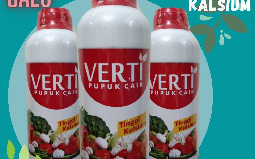 Jual Pupuk Daun Bawang Merah Yang Bagus Medan, Agen Pupuk Buat Bawang Merah Yang Bagus Tapanuli Tengah, Distributor Pupuk Bawang Merah Umur 15 Hari Pandan