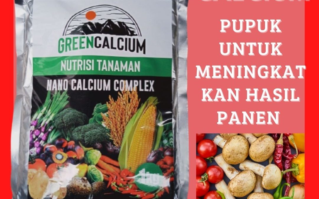 Jual Pupuk Generatif Jagung Manado, Agen Pupuk Jagung Manis Musim Hujan Bolaang Mongondow, Distributor Pupuk Jagung Masa Generatif Minahasa