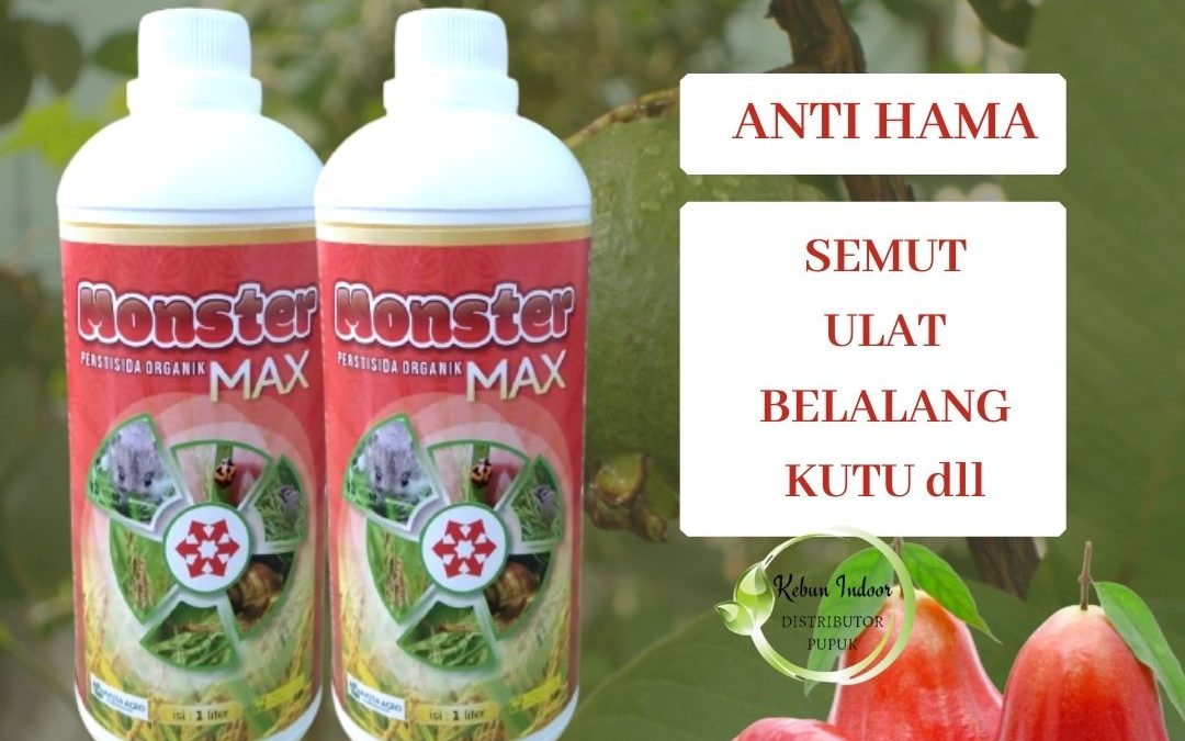Toko Pestisida Organik Untuk Kutu Putih Semarang, Asli Pembasmi Hama Tanaman Brebes, Beli Pembasmi Hama Tanaman Alami Cilacap, Promo Pembasmi Hama Kutu Putih Demak, Jual Pembasmi Hama Lembing Jepara, Jual Pembasmi Hama Alami Grobogan, Agen Pembasmi Hama Belalang Kebumen, Distributor Pembasmi Hama Kutu Sisik Kendal, Harga Pembasmi Hama Kutu Daun Kudus, Produsen Pembasmi Hama Kutu Kebul Magelang