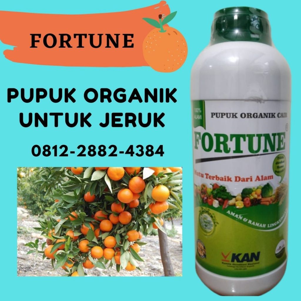 Promo, 0812-2882-4834, Agen Pupuk Jeruk Nipis, Distributor Pupuk Jeruk Siam, Harga Pupuk Jeruk Umur 1 Tahun