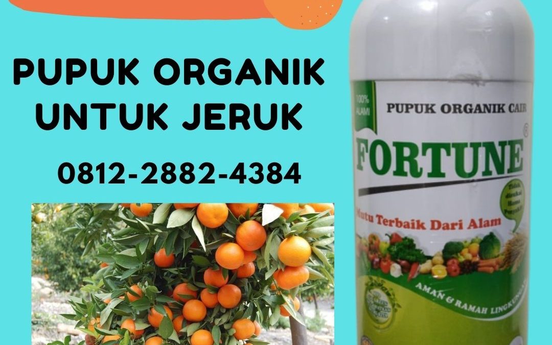 Promo, 0812-2882-4834, Agen Pupuk Jeruk Nipis  Medan,  Distributor Pupuk Jeruk Siam Tapanuli Tengah, Harga Pupuk Jeruk Umur 1 Tahun Pandan