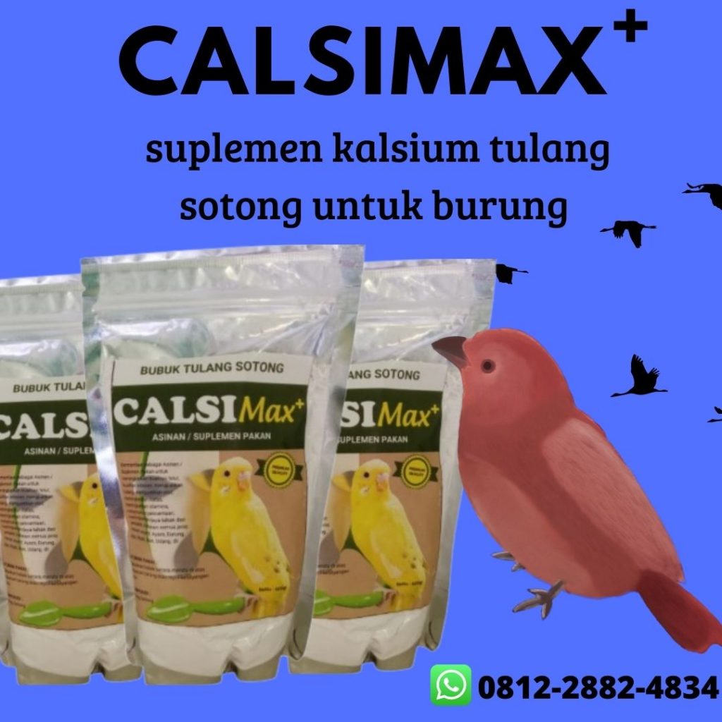 Diskon, 0812-2882-4834, Grosir Tulang Sotong Untuk Parkit Bojonegoro, Pabrik Tulang Sotong Untuk Burung Lovebird Bondowoso, Murah Tulang Sotong Untuk Gecko Gresik