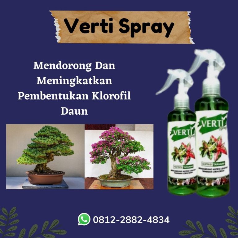 Promo, 0812-2882-4834, Agen Pupuk Bonsai Serut Semarang, Harga Pupuk Bonsai Beringin Brebes, Produsen Pupuk Akar Bonsai Cilacap