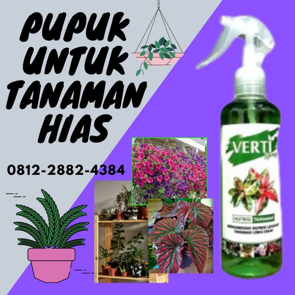Diskon, 0812-2882-4834, Produsen Pupuk Tanaman Hias Daun, Grosir Pupuk Tanaman Hias Biar Subur, Pabrik Pupuk Untuk Nutrisi Tanaman Hias